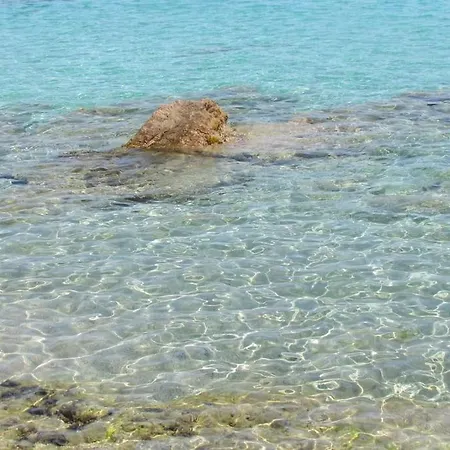Casa Mirice Con Piscina Lejlighed Aglientu